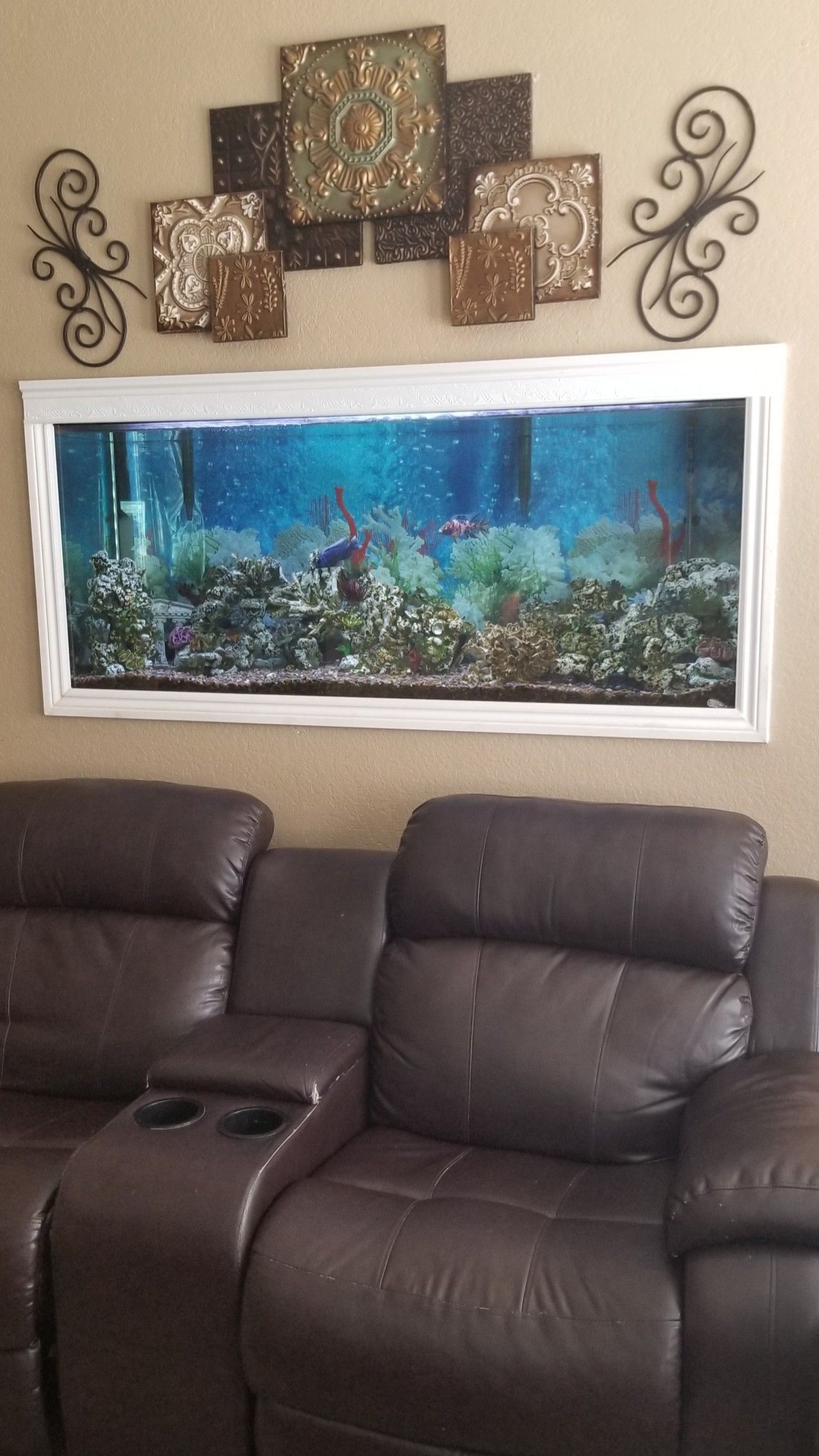 Fish tank with fish