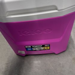 Igloo Cooler With Telescoping Handle