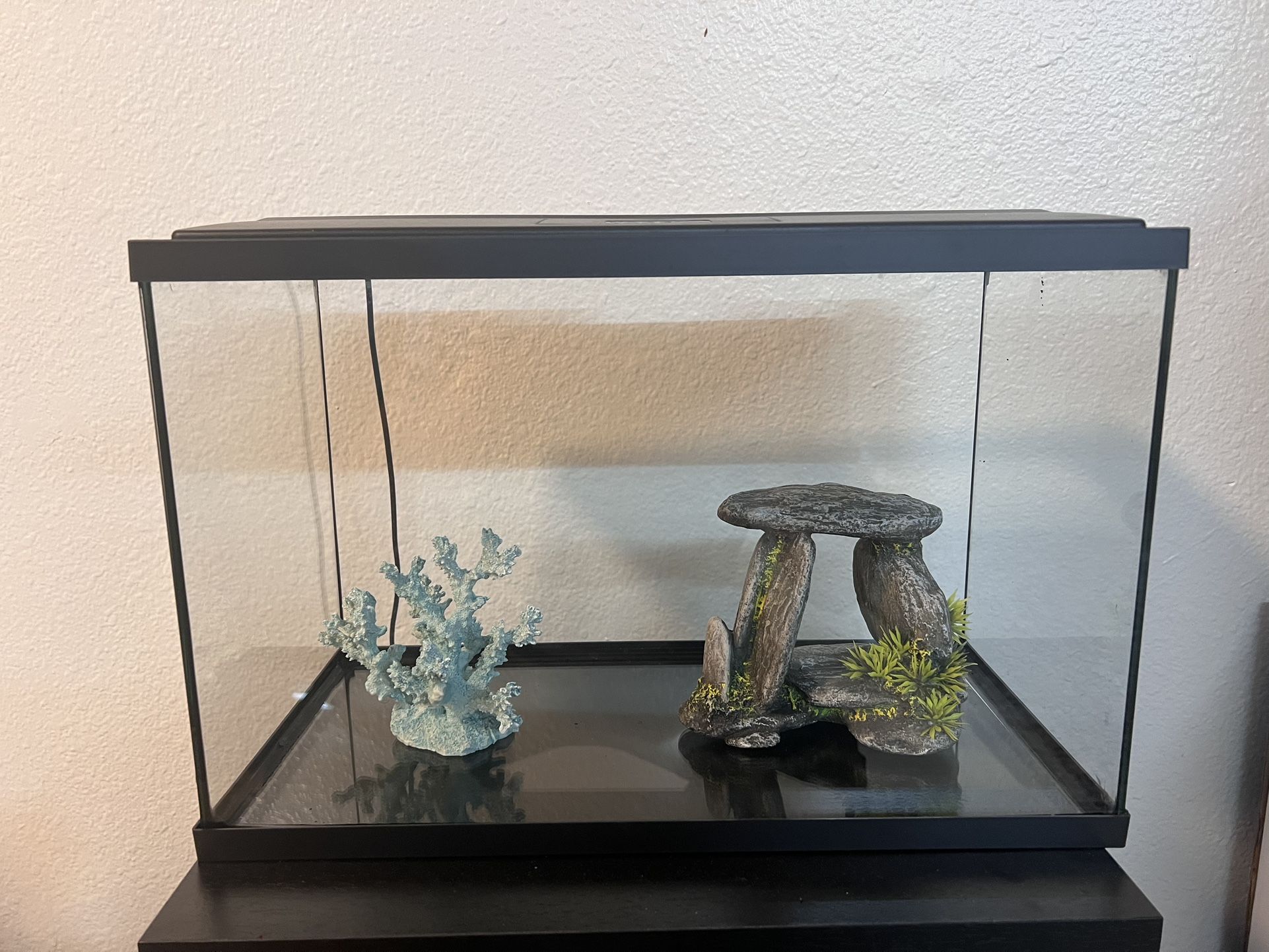 10 Gallon Fish Tank With Decor+Filtration+air pump+thermometer