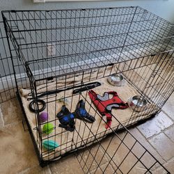 New 48 Dog Crates $100/ Xxxl Dog Cage Bundle $150 48 Kennel Blanket  Harnes Leash 2 Toys Bowls Poo Bags Seat Belt Pet Supply New Customizable  Colors for Sale in Fontana, CA - OfferUp