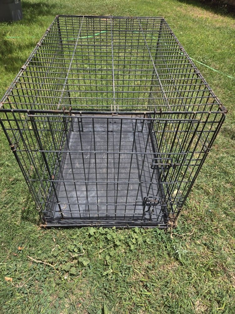 Dog Crate