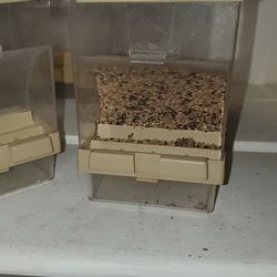 Tolvetas Para Pajaros