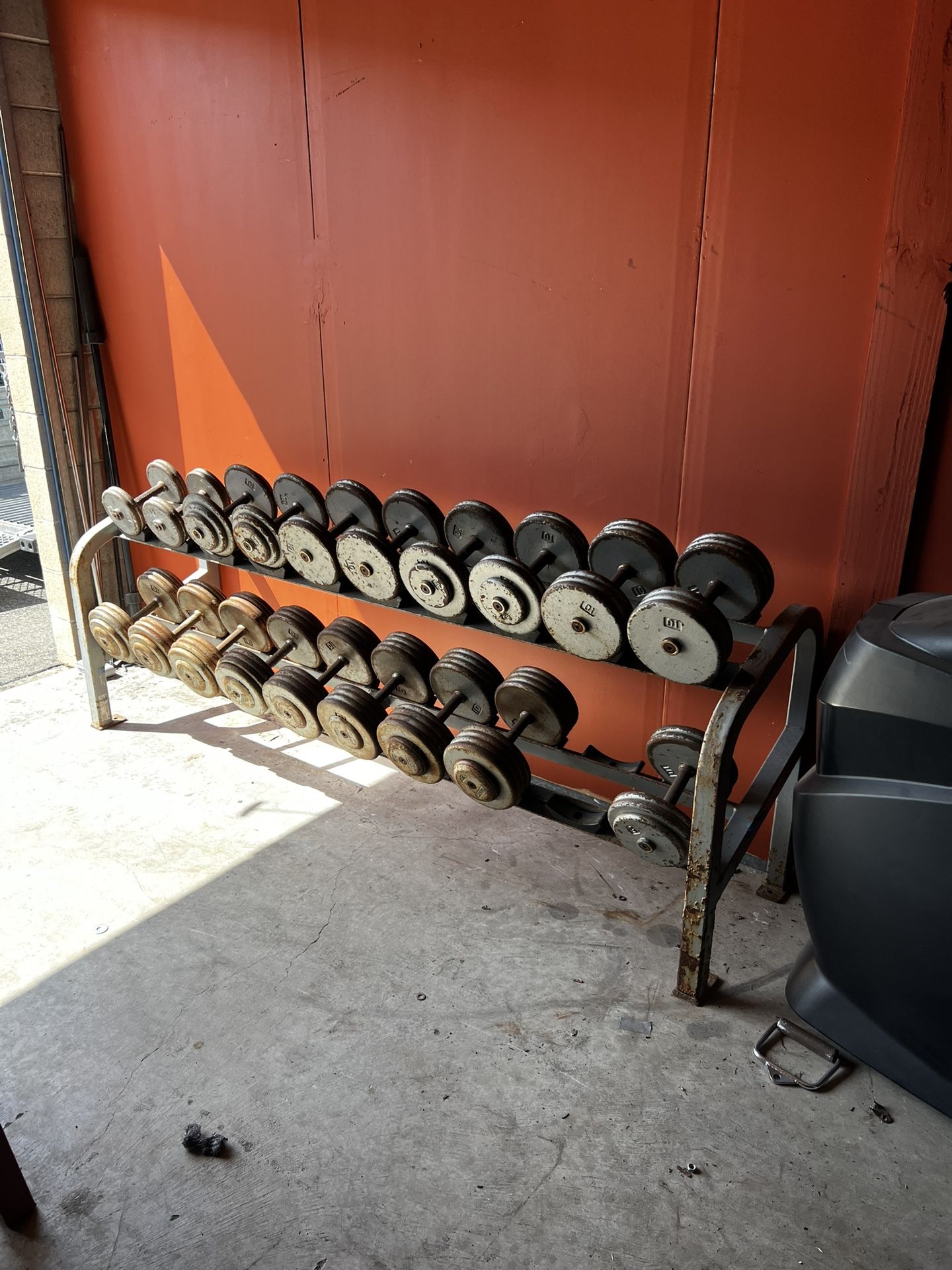 Pro Style Dumbbells