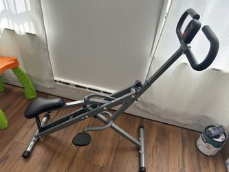 Sunny Health & Fitness Row-N-Ride Squat Assist Trainer