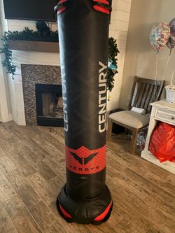 Century punching bag