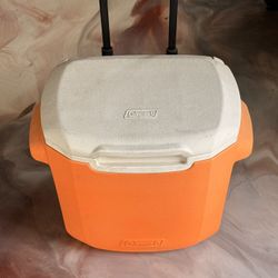 Small Ice Chest