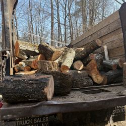 Maple Wood Logs 