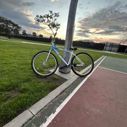 29 Inch Fixie Goon