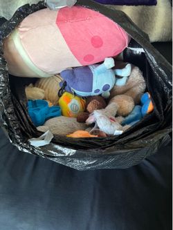 FREE FREE FREE Toys 🧸