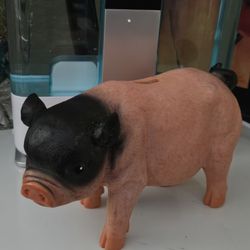 Piggy Bank