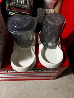 Water&Food Automatic Feeder