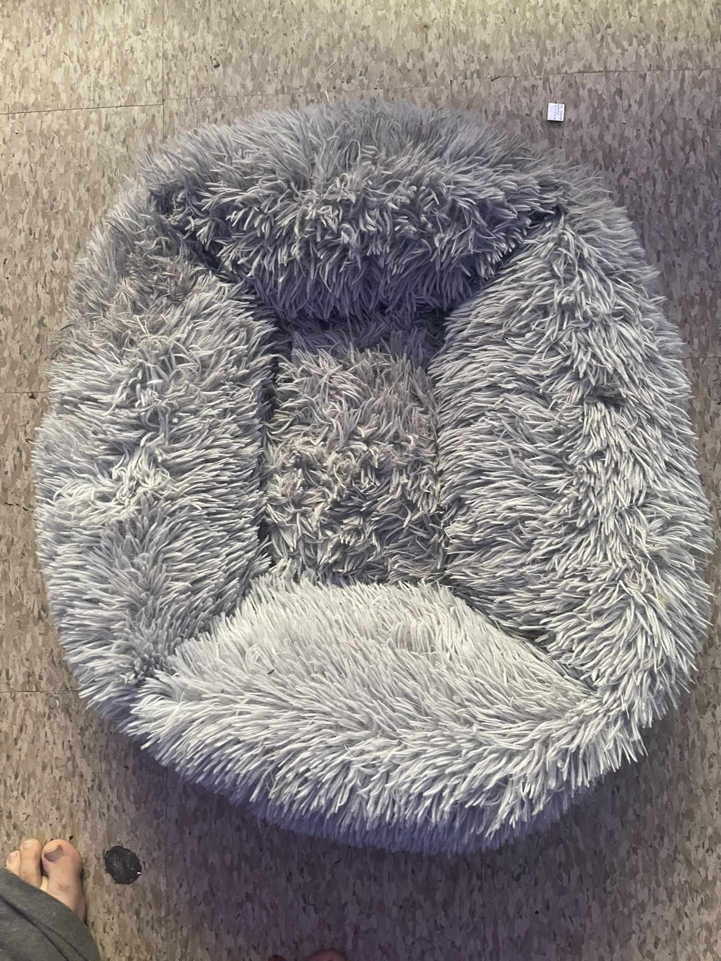 Cat Bed