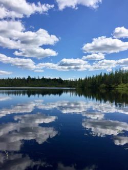 ISLAND LAKE-NORTHERN WISCONSIN PICTURE