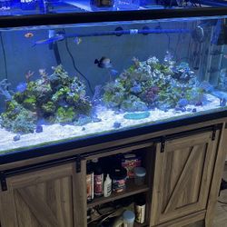 75 Gallon Fish Tank Fully Loaded For Salt Or Freshwater