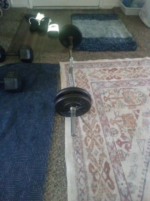 Curl Bar