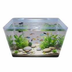 CLEAR FOR LIFE ACRYLIC 20 GALLON AQUARIUM