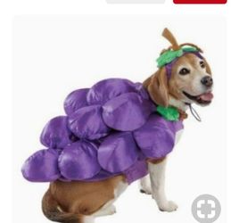 Costumes grape-hotdog-banana split