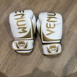Boxing Gloves 14 Oz