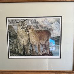2 Cougar Picture