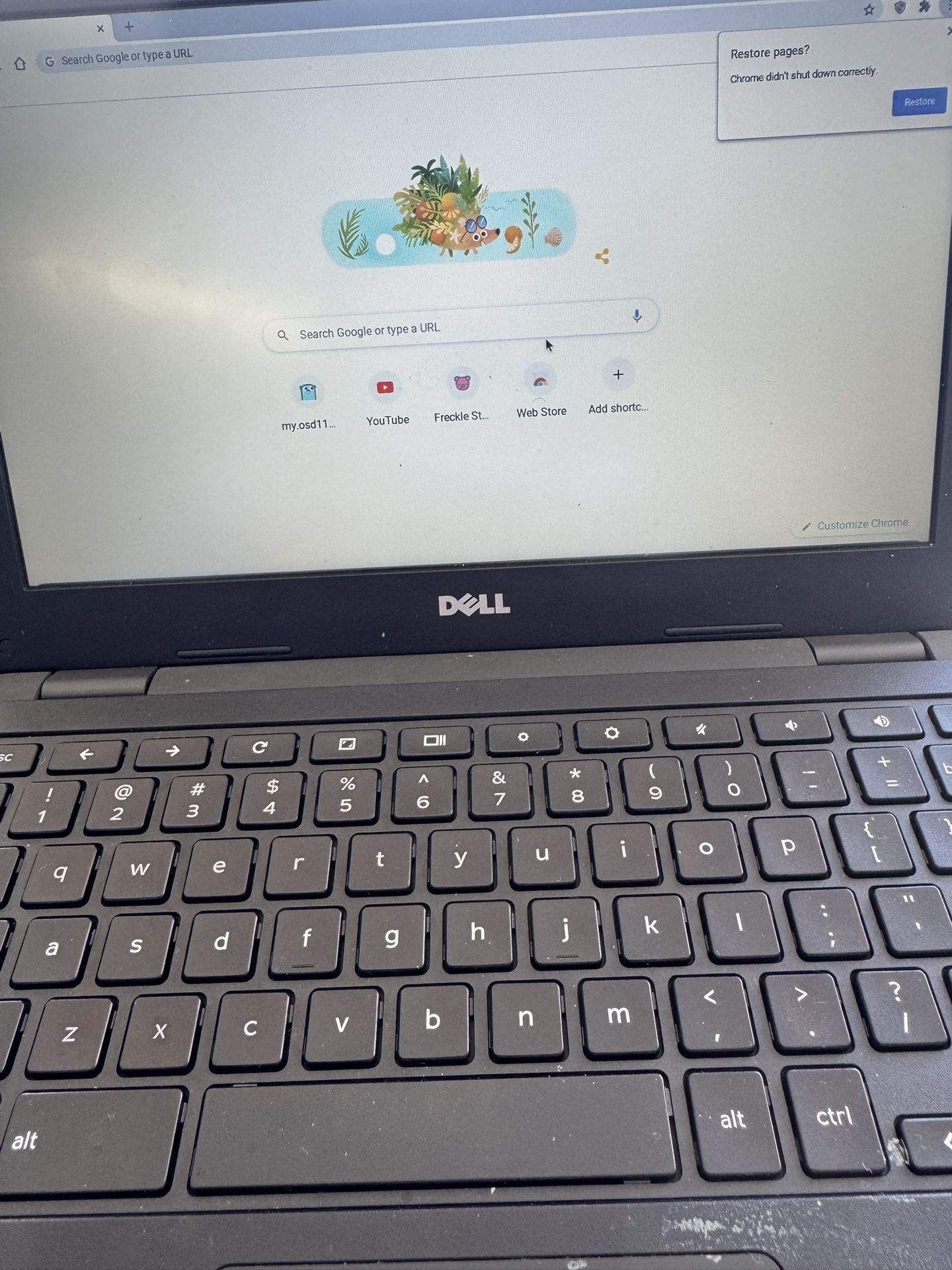 Google Chrome Book