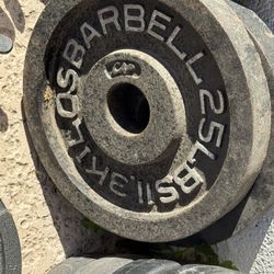 25LB Plates/Weights