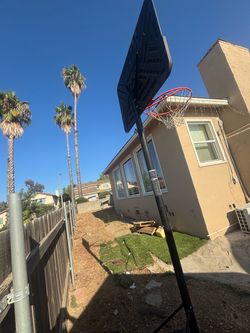 Basket ball hoop