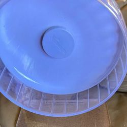 White Hamster Wheel