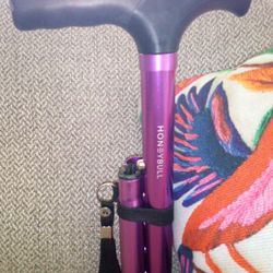 Honey Bull Walking Cane