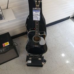 Esteban Acoustic/electric Guitar "Reflections"