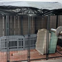 Pets Outside Dog Kennel 