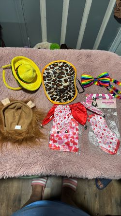 Dog costumes accessories