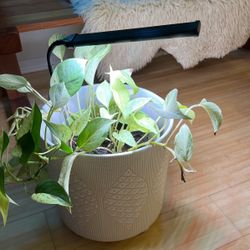 Plant Light For Indoor Plants 