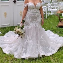 Wedding Dress and Veil 