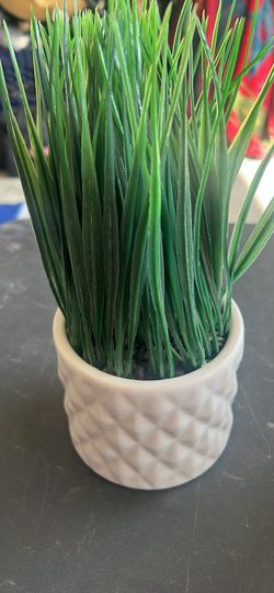 Fake grass in white cup