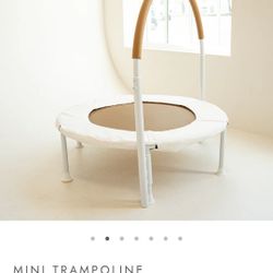 Mini Trampoline $80