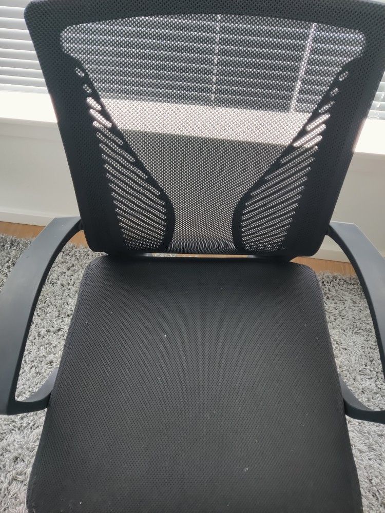 Ergonomic Office Chair