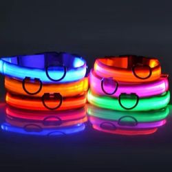 Reflective Dog Collar Whit Leash 