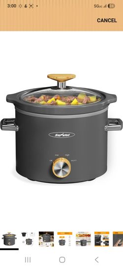 Slow cooker