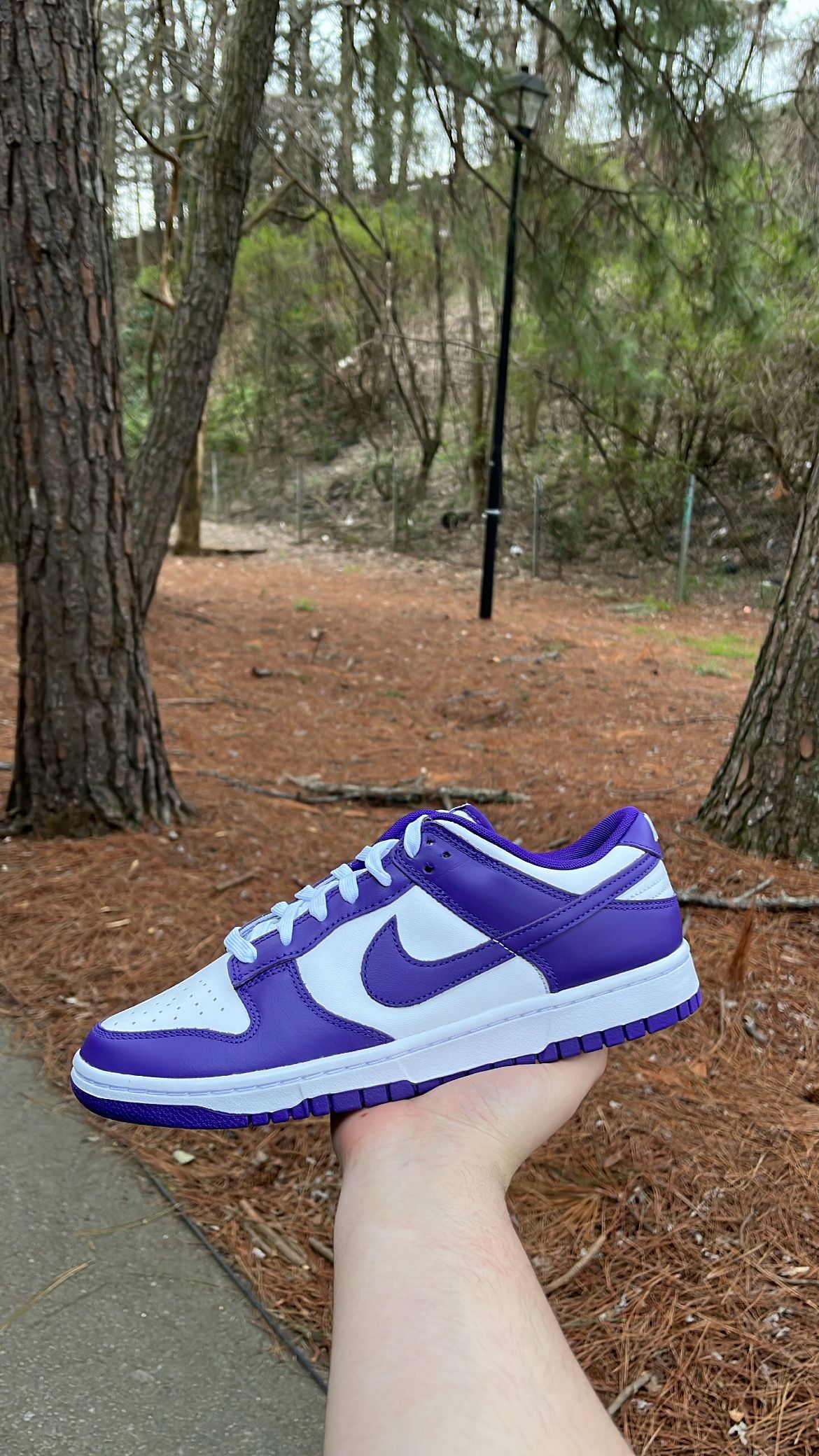Dunk Low Court Purple
