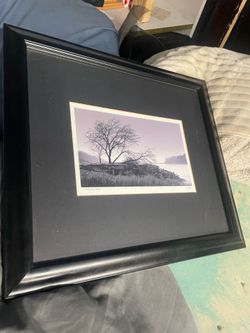 Calvo Trees Riverview 15-1/2” by 17-1/2”
