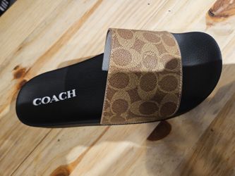 Coach slides