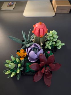 Succulent Lego Set