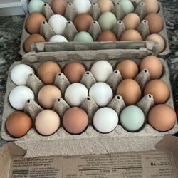 Huevos Frescos De Casa 