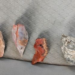 Petrified Wood , Artifacts 