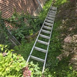 Long Ladder 