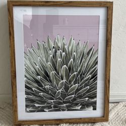 Target Framed Cactus Wall Print 20"x16" - Project 62™