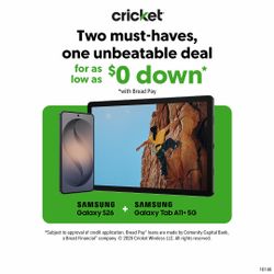 Payment plan with cricket