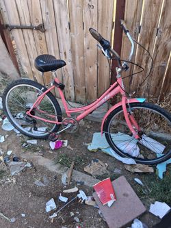 Beach cruiser