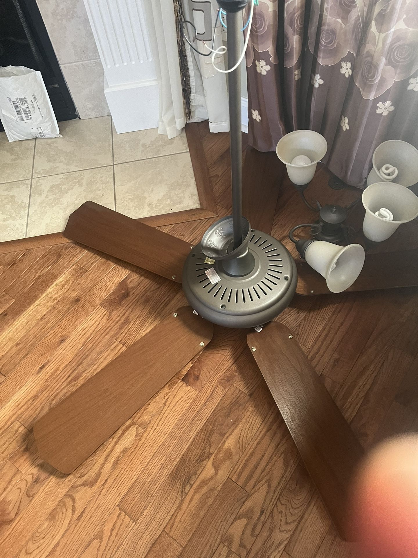 Big Fan With Light