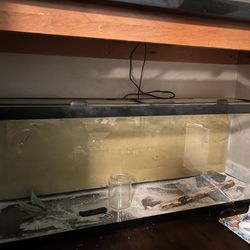 50 Gallon fish tank